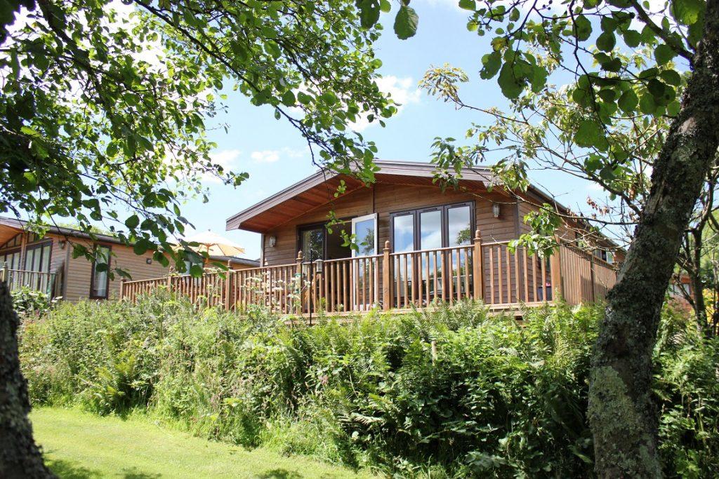 Pet friendly lodge to let